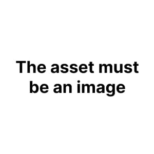 Asset is missing or invalid