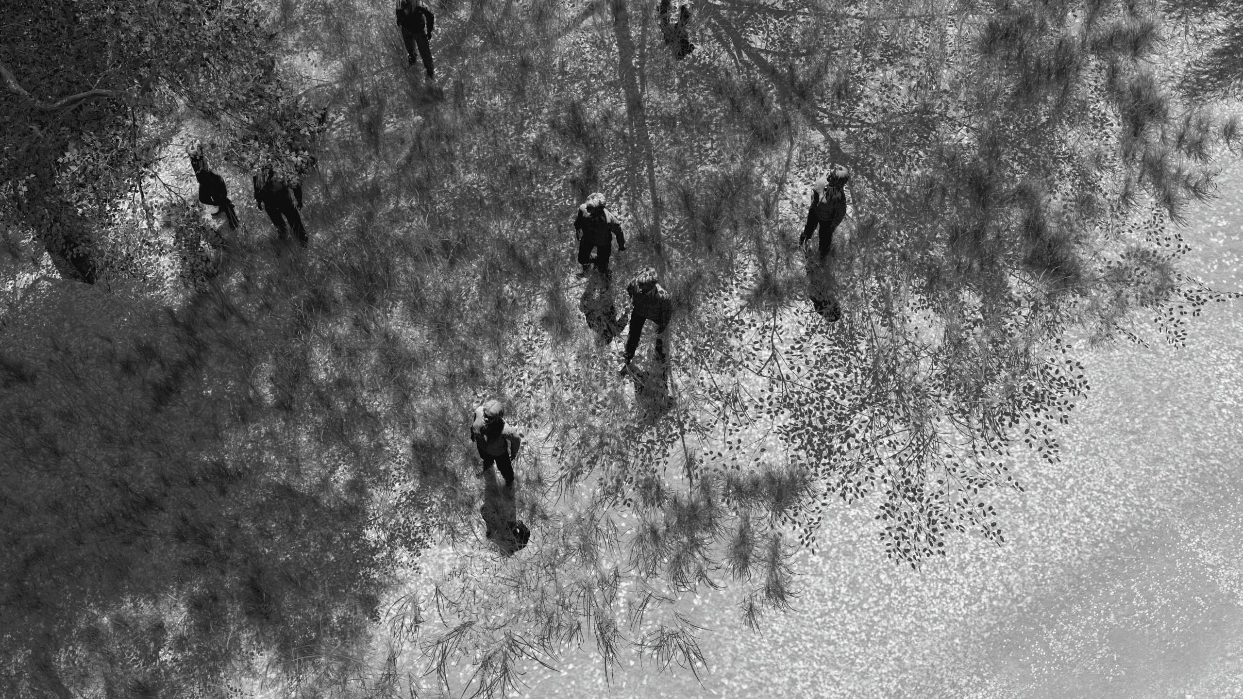 NIR modality in sunlight